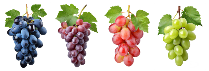 Set of grapes of different varieties on a white background