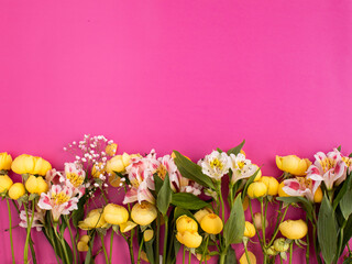 spring background, valentine's day, women's day, spring yellow flowers on a bright pink background