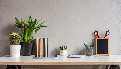 Home Office desk with supplies, plants and empty wall; modern minimal