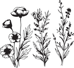 line art of botanical flowers floral collection generative ai