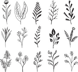 line art of botanical flowers floral collection generative ai
