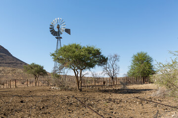 Ein Windrad zwischen grünen Bäumen in der Savanne Namibias