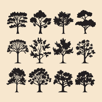 Oak tree set black silhouette vector