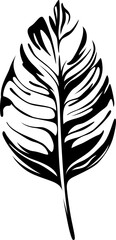 Abstract tropical black and white leaf. Hand drawn engraved ink art. Isolated illustration element on white background.