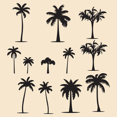 palm set black silhouette Clip art vector