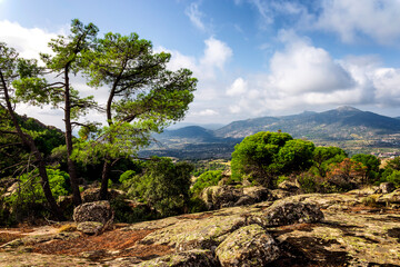 Peña de Cenicientos