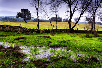 Después de la lluvia