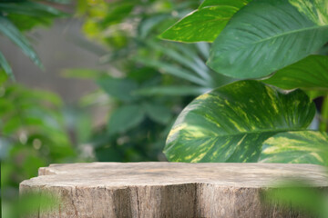 Wood tabletop podium floor in outdoors tropical garden forest blurred green leaf plant nature...