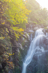 Fototapeta na wymiar picturesque landscapes with autumn colors and changing leaves of the trees waterfalls and sun light