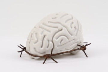 On a white background, a human brain surrounded by barbed wire.