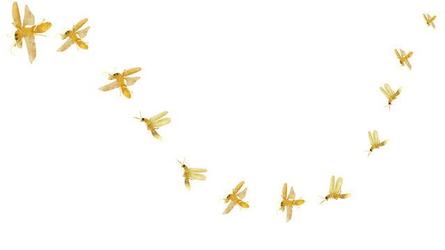 Golden Flying Fireflies. Isolated flying glowworm on transparant background 