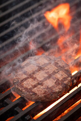 carne grelhada no broiler suculenta sabor fogo saboroso grelhado hamburguer bovino, grelha, braai,...
