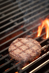 carne grelhada no broiler suculenta sabor fogo saboroso grelhado hamburguer bovino, grelha, braai,...