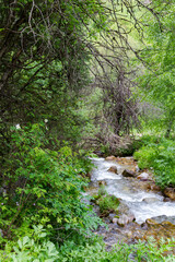 Fototapeta na wymiar mountain stream with clear water