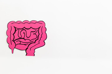 Human organ - intestines model made of paper, top view. Human health and medical concept