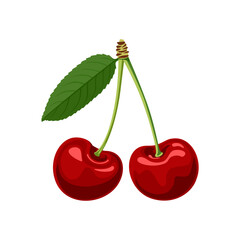 Cherry isolated on white background. Vector cartoon illustration of red berry.