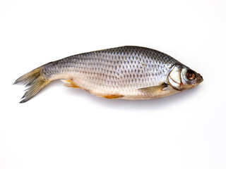 Dried Fish.
