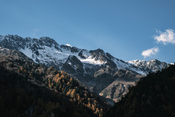 Obraz premium 秋の峡谷