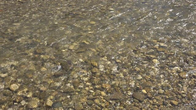 Clear water of mountain river flowing over stones and pebbles