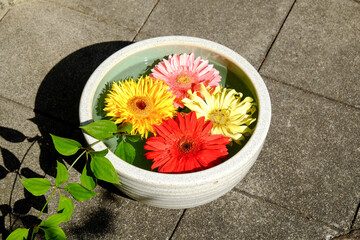 勝林寺の鉢に浮かべられた花 - obrazy, fototapety, plakaty