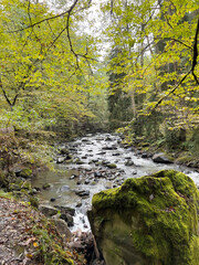Obraz premium Park in the city of Borjomi. The mountain river flows through