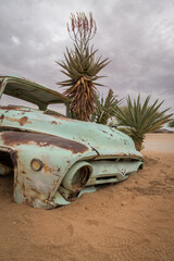 Ein grünes, verrostetes Autowrack ohne Reifen in der Wüste Namibias vor vereinzelten Palmen, Solitaire