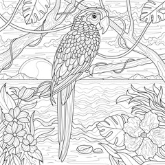 Parrot and tropical landscape.Coloring book antistress for children and adults.  © Екатерина Власенко