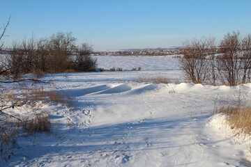 A snowy field with trees