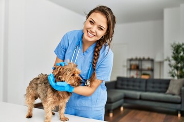 Young beautiful hispanic woman veterinarian smiling confident examining dog at home