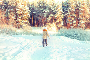 Fototapeta na wymiar Boy walks in a snowy winter forest.