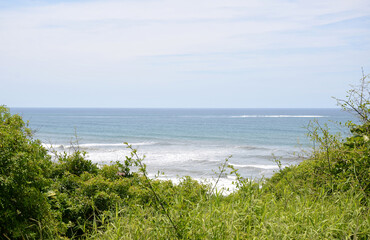 View of the ocean from the coast with coastal vegetation - Torres, Brasil