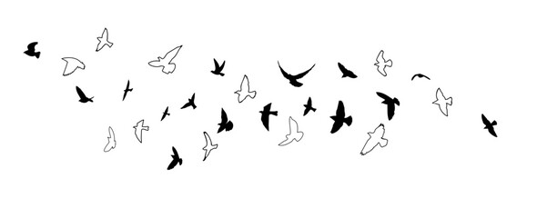 Flying birds silhouette flock. hand drawing. Not AI, Vector illustration - obrazy, fototapety, plakaty