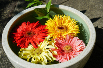 勝林寺の鉢に浮かべられた花 - obrazy, fototapety, plakaty