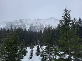 snow covered mountains