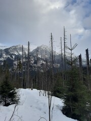 snow covered mountains