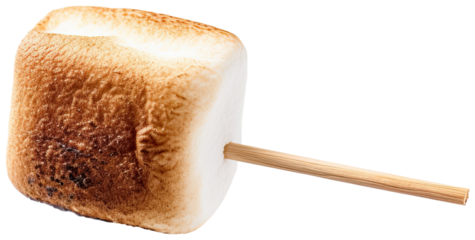 Toasted marshmallow on a stick illustration PNG element cut out transparent isolated on white background ,PNG file ,artwork graphic design.