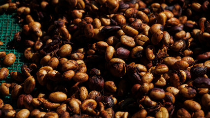 Unroasted coffee bean collected to send to expert coffee aroma roasters. Concept: raw material, coffee.