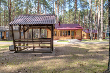 wooden eco country houses in pinery forest