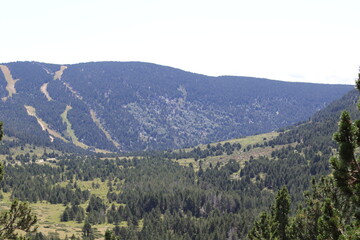 Naklejka premium mountain scenery with trees and roads