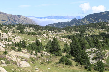 Fototapeta na wymiar mountain scenery with trees and roads