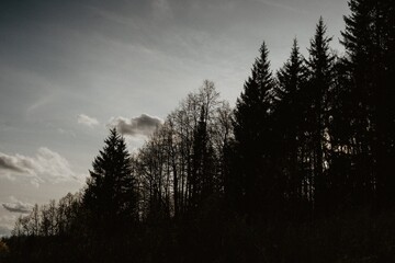 sunrise in the mountains