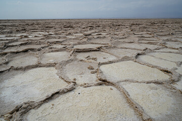 Lago salato in Etiopia - 706481914