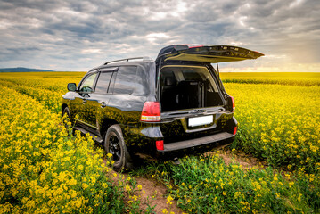 Back side view of off road car with opened trunk in blooming rape field