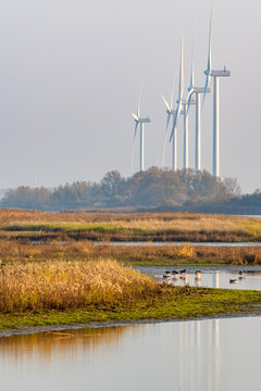 Nature area Scheelhoek with  bird nesting islands in the Haringvliet on the north edge of Goeree-Overflakkee in the Netherlands. A windpark with large windturbines stands in the background.