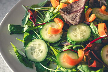 Close-up, salad with fresh cucumbers, peppers and arugula.