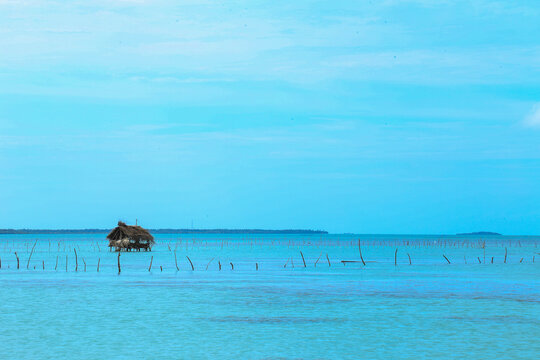 A very beautiful beach scene located in the city of Jaffna.