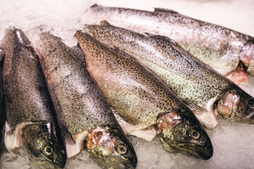 Fresh raw fish in ice on the counter in a grocery store.
