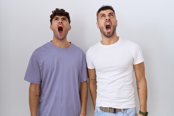 Homosexual gay couple standing over white background angry and mad screaming frustrated and...