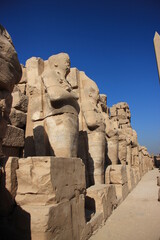 Alignement de statues de pharaons, Karnak,Louxor,Egypte