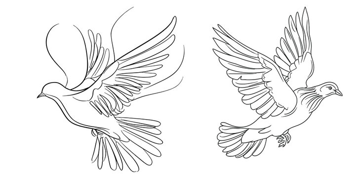 One continuous line drawing of flying up dove.